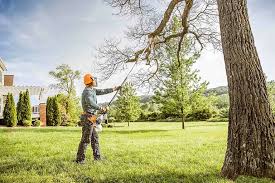 Best Lawn Grading and Leveling  in Lawnside, NJ