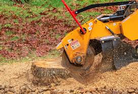 Best Tree Mulching  in Lawnside, NJ