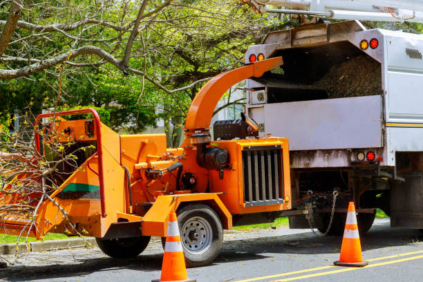 Best Lawn Dethatching  in Lawnside, NJ